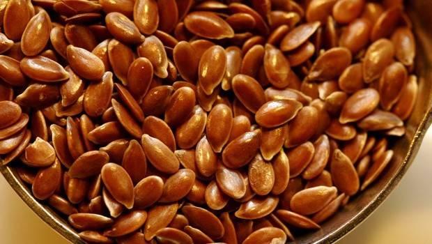 Koristi in škoda lanenih semen: koristne lastnosti in kontraindikacije, recepti za zdravljenje in okrevanje