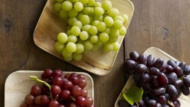 Splošne koristi, zdravilne lastnosti, škoda in kontraindikacije grozdja